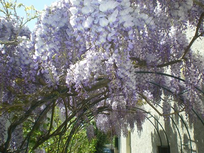 1387099920-qui-suis-je